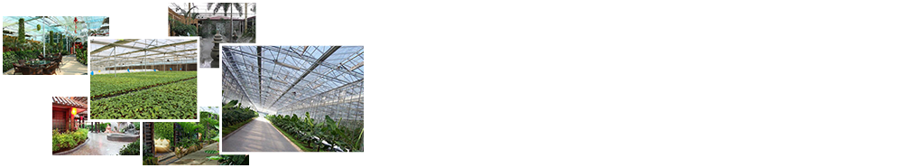 24小時(shí)免費咨詢(xún)、免費技術(shù)指導