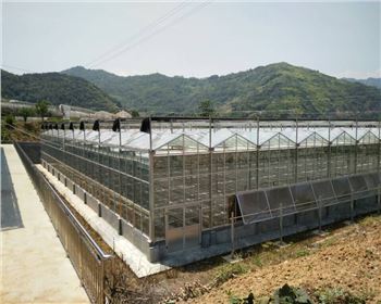 東北連棟溫室大棚案例