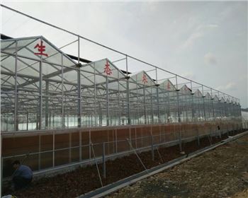 東北蔬菜大棚案例